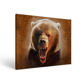 Холст прямоугольный с принтом Медведь в Курске, 100% ПВХ |  | Тематика изображения на принте: медведь | мишка
