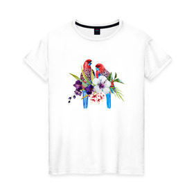 Женская футболка хлопок с принтом Попугаи в Курске, 100% хлопок | прямой крой, круглый вырез горловины, длина до линии бедер, слегка спущенное плечо | myparrots | акварель | попугаи | птиц | розелла | цветы