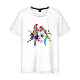 Мужская футболка хлопок с принтом Попугаи в Курске, 100% хлопок | прямой крой, круглый вырез горловины, длина до линии бедер, слегка спущенное плечо. | Тематика изображения на принте: myparrots | акварель | попугаи | птиц | розелла | цветы
