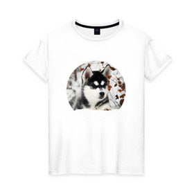 Женская футболка хлопок с принтом Щенок хаски в Курске, 100% хлопок | прямой крой, круглый вырез горловины, длина до линии бедер, слегка спущенное плечо | dog | husky | собака | хаски | щенок