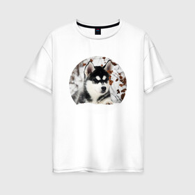 Женская футболка хлопок Oversize с принтом Щенок хаски в Курске, 100% хлопок | свободный крой, круглый ворот, спущенный рукав, длина до линии бедер
 | dog | husky | собака | хаски | щенок