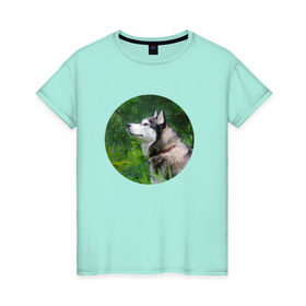 Женская футболка хлопок с принтом Хаски в Курске, 100% хлопок | прямой крой, круглый вырез горловины, длина до линии бедер, слегка спущенное плечо | dog | husky | собака | хаски | щенок