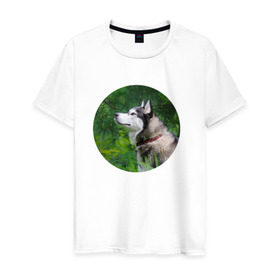 Мужская футболка хлопок с принтом Хаски в Курске, 100% хлопок | прямой крой, круглый вырез горловины, длина до линии бедер, слегка спущенное плечо. | Тематика изображения на принте: dog | husky | собака | хаски | щенок