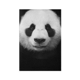 Обложка для паспорта матовая кожа с принтом Панда в Курске, натуральная матовая кожа | размер 19,3 х 13,7 см; прозрачные пластиковые крепления | Тематика изображения на принте: панда