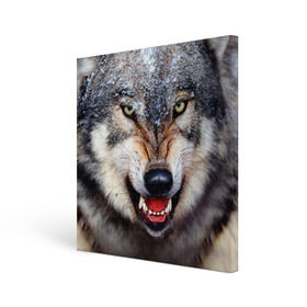 Холст квадратный с принтом Волк в Курске, 100% ПВХ |  | волк | животные | злой волк | зубы | оскал