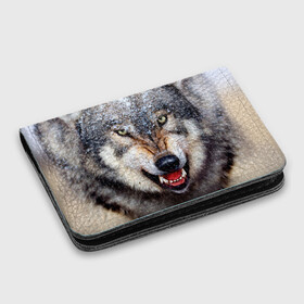 Картхолдер с принтом с принтом Волк в Курске, натуральная матовая кожа | размер 7,3 х 10 см; кардхолдер имеет 4 кармана для карт; | волк | животные | злой волк | зубы | оскал