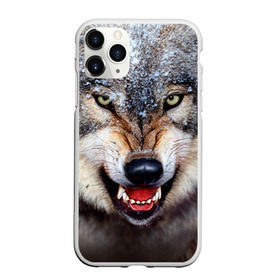 Чехол для iPhone 11 Pro матовый с принтом Волк в Курске, Силикон |  | волк | животные | злой волк | зубы | оскал