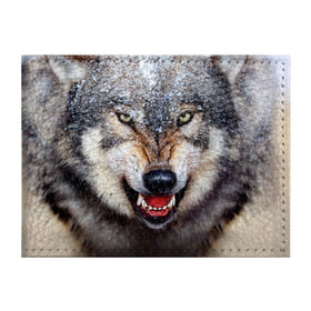 Обложка для студенческого билета с принтом Волк в Курске, натуральная кожа | Размер: 11*8 см; Печать на всей внешней стороне | волк | животные | злой волк | зубы | оскал