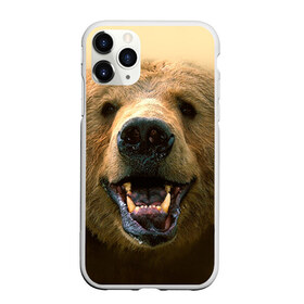 Чехол для iPhone 11 Pro матовый с принтом Мишка в Курске, Силикон |  | бурый | гризли | животные | медведь | мишка