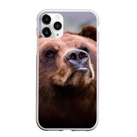 Чехол для iPhone 11 Pro матовый с принтом Медведь в Курске, Силикон |  | бурый | гризли | животные | медведь | мишка