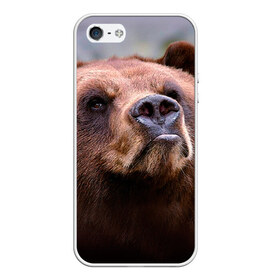 Чехол для Apple iPhone 5/5S силиконовый с принтом Медведь в Курске, Силикон | Область печати: задняя сторона чехла, без боковых панелей | бурый | гризли | животные | медведь | мишка