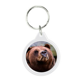 Брелок круглый с принтом Медведь в Курске, пластик и полированная сталь | круглая форма, металлическое крепление в виде кольца | бурый | гризли | животные | медведь | мишка