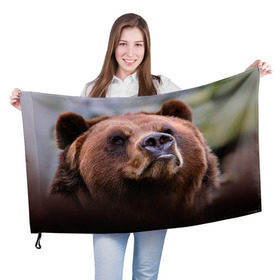 Флаг 3D с принтом Медведь в Курске, 100% полиэстер | плотность ткани — 95 г/м2, размер — 67 х 109 см. Принт наносится с одной стороны | бурый | гризли | животные | медведь | мишка