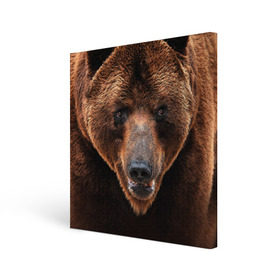Холст квадратный с принтом Медведь в Курске, 100% ПВХ |  | бурый | гризли | животные | медведь | мишка