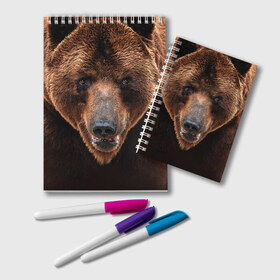 Блокнот с принтом Медведь в Курске, 100% бумага | 48 листов, плотность листов — 60 г/м2, плотность картонной обложки — 250 г/м2. Листы скреплены удобной пружинной спиралью. Цвет линий — светло-серый
 | Тематика изображения на принте: бурый | гризли | животные | медведь | мишка