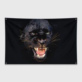 Флаг-баннер с принтом Пантера в Курске, 100% полиэстер | размер 67 х 109 см, плотность ткани — 95 г/м2; по краям флага есть четыре люверса для крепления | животные | зубы | киса | киска | кошка | оскал | пантера