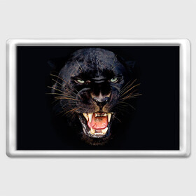 Магнит 45*70 с принтом Пантера в Курске, Пластик | Размер: 78*52 мм; Размер печати: 70*45 | Тематика изображения на принте: животные | зубы | киса | киска | кошка | оскал | пантера