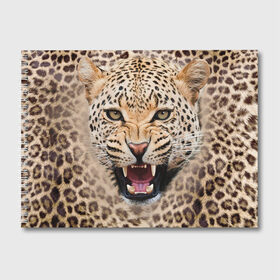 Альбом для рисования с принтом Леопард в Курске, 100% бумага
 | матовая бумага, плотность 200 мг. | животные | зубы | киса | киска | кошка | леопард | оскал