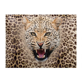 Обложка для студенческого билета с принтом Леопард в Курске, натуральная кожа | Размер: 11*8 см; Печать на всей внешней стороне | животные | зубы | киса | киска | кошка | леопард | оскал
