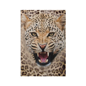 Обложка для паспорта матовая кожа с принтом Леопард в Курске, натуральная матовая кожа | размер 19,3 х 13,7 см; прозрачные пластиковые крепления | Тематика изображения на принте: животные | зубы | киса | киска | кошка | леопард | оскал