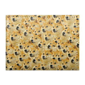 Обложка для студенческого билета с принтом Doge в Курске, натуральная кожа | Размер: 11*8 см; Печать на всей внешней стороне | Тематика изображения на принте: doge