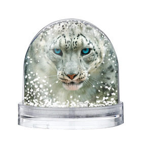 Снежный шар с принтом Снежный барс в Курске, Пластик | Изображение внутри шара печатается на глянцевой фотобумаге с двух сторон | барс | животные | кошка | снежный барс