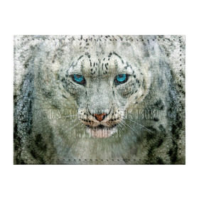 Обложка для студенческого билета с принтом Снежный барс в Курске, натуральная кожа | Размер: 11*8 см; Печать на всей внешней стороне | Тематика изображения на принте: барс | животные | кошка | снежный барс