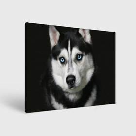 Холст прямоугольный с принтом Хаски в Курске, 100% ПВХ |  | Тематика изображения на принте: животные | собака | хаски