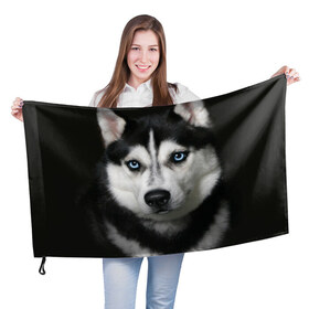 Флаг 3D с принтом Хаски в Курске, 100% полиэстер | плотность ткани — 95 г/м2, размер — 67 х 109 см. Принт наносится с одной стороны | животные | собака | хаски