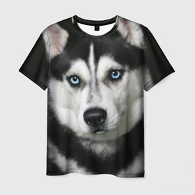 Мужская футболка 3D с принтом Хаски в Курске, 100% полиэфир | прямой крой, круглый вырез горловины, длина до линии бедер | животные | собака | хаски