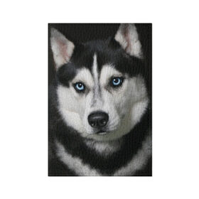 Обложка для паспорта матовая кожа с принтом Хаски в Курске, натуральная матовая кожа | размер 19,3 х 13,7 см; прозрачные пластиковые крепления | Тематика изображения на принте: животные | собака | хаски