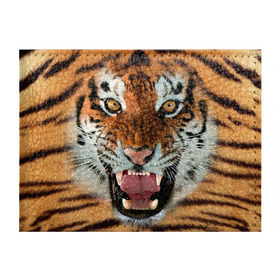 Обложка для студенческого билета с принтом Тигр в Курске, натуральная кожа | Размер: 11*8 см; Печать на всей внешней стороне | животные | зубы | кошка | тигр