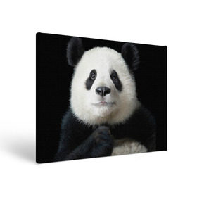 Холст прямоугольный с принтом Панда в Курске, 100% ПВХ |  | панда
