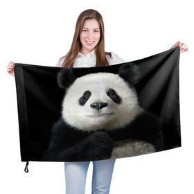 Флаг 3D с принтом Панда в Курске, 100% полиэстер | плотность ткани — 95 г/м2, размер — 67 х 109 см. Принт наносится с одной стороны | панда