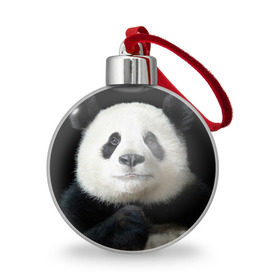 Ёлочный шар с принтом Панда в Курске, Пластик | Диаметр: 77 мм | панда