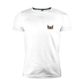 Мужская футболка премиум с принтом Кот в кармашке в Курске, 92% хлопок, 8% лайкра | приталенный силуэт, круглый вырез ворота, длина до линии бедра, короткий рукав | в кармане | киса | кот | коты | кошки | подглядывающий