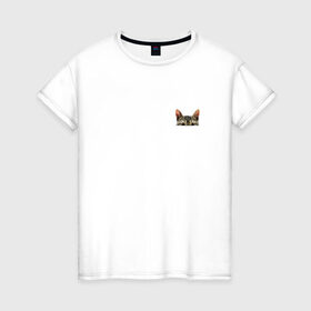 Женская футболка хлопок с принтом Кот в кармашке в Курске, 100% хлопок | прямой крой, круглый вырез горловины, длина до линии бедер, слегка спущенное плечо | Тематика изображения на принте: в кармане | киса | кот | коты | кошки | подглядывающий