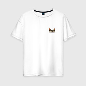Женская футболка хлопок Oversize с принтом Кот в кармашке в Курске, 100% хлопок | свободный крой, круглый ворот, спущенный рукав, длина до линии бедер
 | в кармане | киса | кот | коты | кошки | подглядывающий