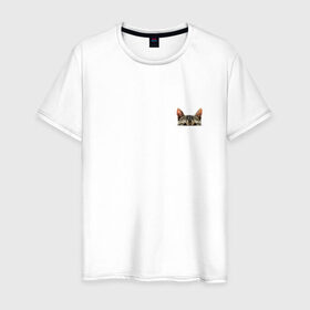 Мужская футболка хлопок с принтом Кот в кармашке в Курске, 100% хлопок | прямой крой, круглый вырез горловины, длина до линии бедер, слегка спущенное плечо. | в кармане | киса | кот | коты | кошки | подглядывающий