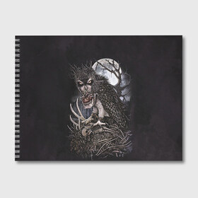 Альбом для рисования с принтом Ночной охотник в Курске, 100% бумага
 | матовая бумага, плотность 200 мг. | Тематика изображения на принте: арт | кристофер ловелл | луна | мода | ночной охотник | ночь | охотник | сердце | филин