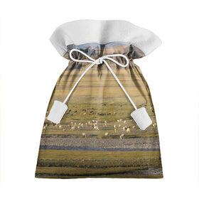Подарочный 3D мешок с принтом Долина жизни в Курске, 100% полиэстер | Размер: 29*39 см | алтай | горы | долина | камни | пастбище в горной долинеживотные | пески | пустыни | рек