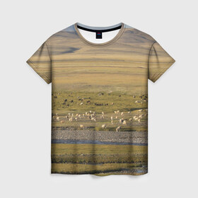 Женская футболка 3D с принтом Долина жизни в Курске, 100% полиэфир ( синтетическое хлопкоподобное полотно) | прямой крой, круглый вырез горловины, длина до линии бедер | алтай | горы | долина | камни | пастбище в горной долинеживотные | пески | пустыни | рек