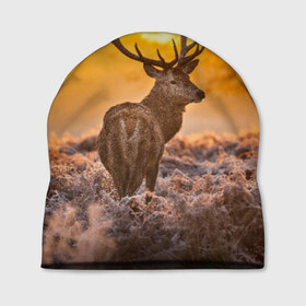 Шапка 3D с принтом Обернувшийся олень в Курске, 100% полиэстер | универсальный размер, печать по всей поверхности изделия | живой принт который выделит вас из любой толпызакат | животное | красота | лес | невероятно тёплый | олень | рога | тайга