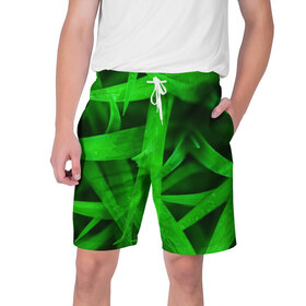Мужские шорты 3D с принтом Трава в Курске,  полиэстер 100% | прямой крой, два кармана без застежек по бокам. Мягкая трикотажная резинка на поясе, внутри которой широкие завязки. Длина чуть выше колен | зеленый | макро | яркий