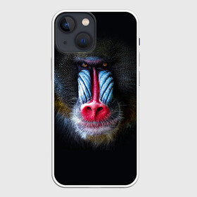 Чехол для iPhone 13 mini с принтом Мандрил в Курске,  |  | Тематика изображения на принте: 2016 | год | мандрил | мартышка | новогодний | новый | обезьяна | обезьянка | подарок | с новым годом