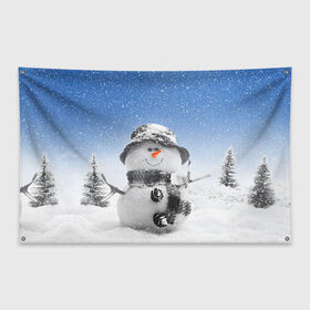 Флаг-баннер с принтом Снеговик в Курске, 100% полиэстер | размер 67 х 109 см, плотность ткани — 95 г/м2; по краям флага есть четыре люверса для крепления | 2016 | winter | год | зима | мартышка | новогодний | новый | обезьяна | обезьянка | подарок | с новым годом | снег | снеговик