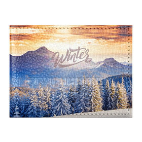 Обложка для студенческого билета с принтом Winter в Курске, натуральная кожа | Размер: 11*8 см; Печать на всей внешней стороне | зима | пейзвж | снег