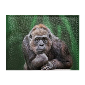 Обложка для студенческого билета с принтом Обезьяна в Курске, натуральная кожа | Размер: 11*8 см; Печать на всей внешней стороне | 2016 | мартышка | обезьяна | с новым годом | символ нг