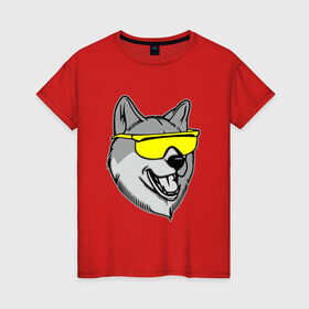 Женская футболка хлопок с принтом Хаски в очках в Курске, 100% хлопок | прямой крой, круглый вырез горловины, длина до линии бедер, слегка спущенное плечо | голова | животные | очки | пес | собака | хаски