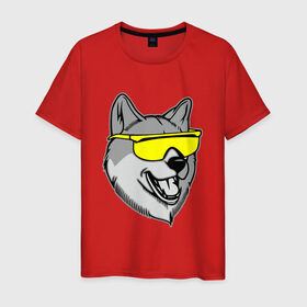 Мужская футболка хлопок с принтом Хаски в очках в Курске, 100% хлопок | прямой крой, круглый вырез горловины, длина до линии бедер, слегка спущенное плечо. | голова | животные | очки | пес | собака | хаски